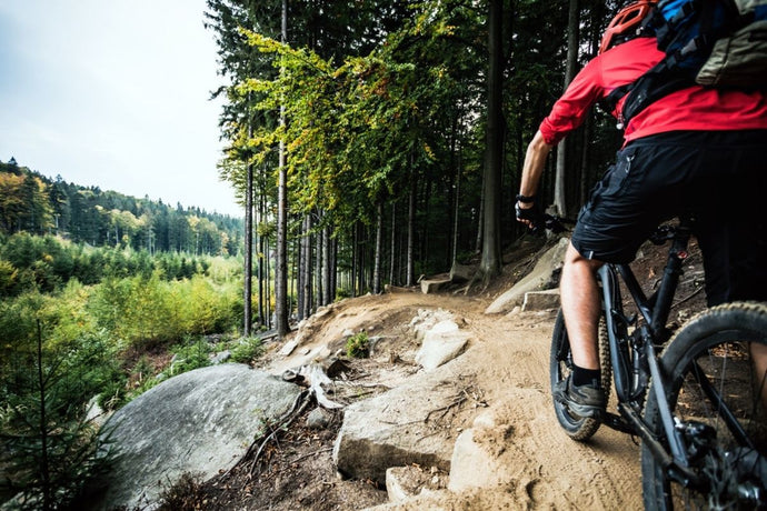 Fun and Exciting Mountain Bike Trails UK to Explore